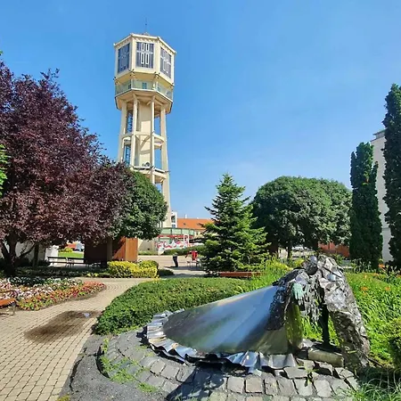 In - Balaton 53496 * Siófok