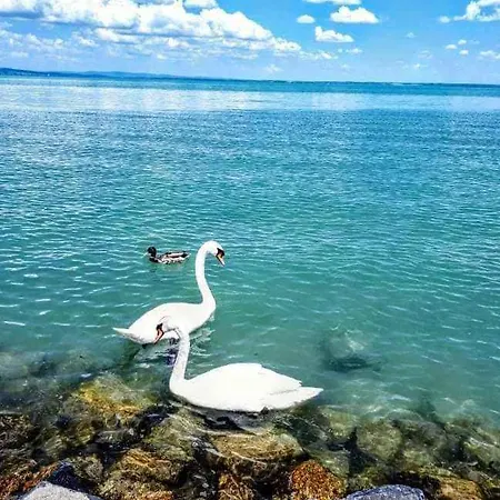 In - Balaton 53496 Apartment